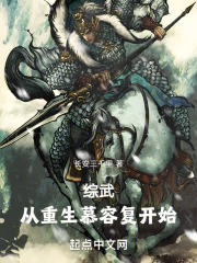 综武从重生慕容复开始笔趣阁