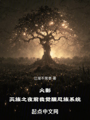 火影灭族之夜前我觉醒忍族系统笔趣