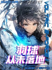 羽球:从解析之眼开始