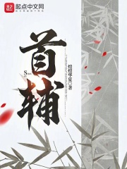 首辅小说