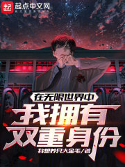 在无限世界中,我拥有双重身份