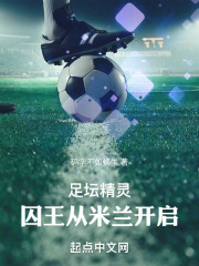 足坛精灵:囚王从米兰开启123读