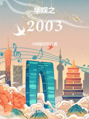 华娱之2003小说