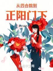 从四合院到正阳门下主角傻柱的小说