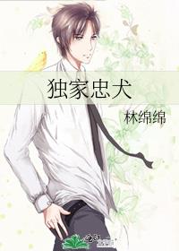 独家忠犬讲的什么故事