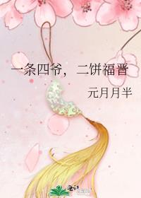 一条四爷二饼福晋免费阅读