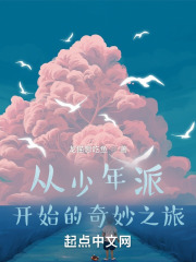 从少年派开始的奇妙之旅TXT下载