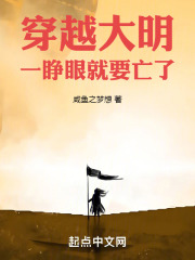 穿越大明六皇子的小说