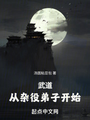 武道:从杂役弟子开始 汤圆粘豆包