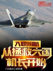 入职川航从拯救大国机长开始小说