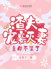 渣夫宠妻记免费阅读