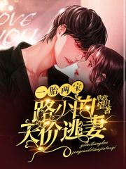 一胎三宝陆少