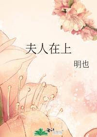 夫人在上,督军在下小说全文免费阅读