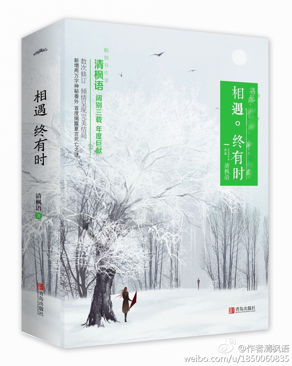 相遇终有时夏言的结局