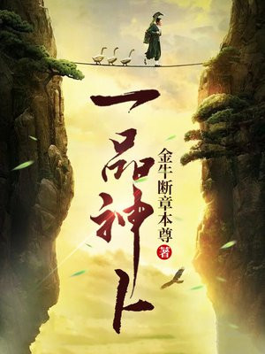 一品神卜小说