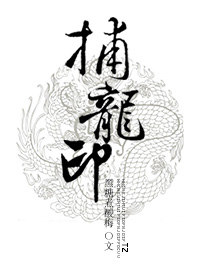 捕龙印小说