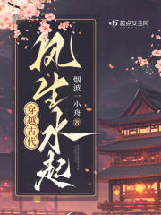 穿越古代风生水起TXT小说下载