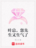 免费阅读小说叶先生