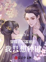 穿成农门胖寡妇的小说