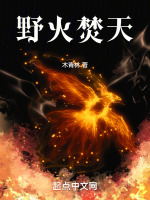 野火焚烧雨林