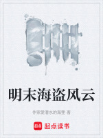 明末海盗风云小说