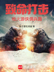 致命打击:枪火游侠佣兵路TXT