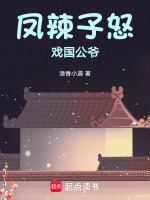 话说凤辣子