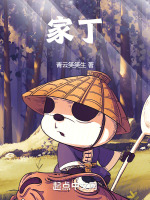 家丁意思