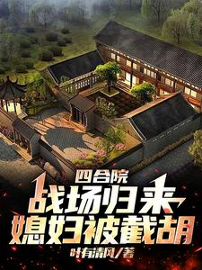 四合院长篇小说