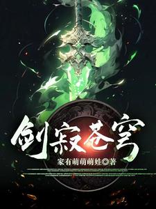 剑寂苍穹小说
