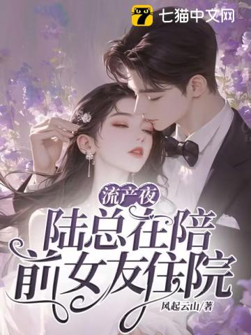 流产夜,陆总在陪前女友住院小说
