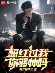 想红过我你够帅吗