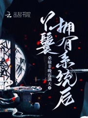 丫鬟系统宠妃