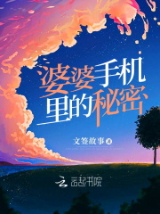 婆婆手机里的秘密小说