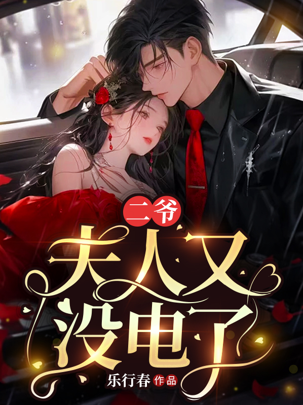 二爷,夫人又没电了大结局