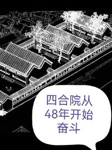 四合院从48年开始奋斗小说