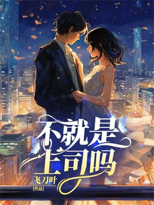 不就是上司吗小说全文阅读