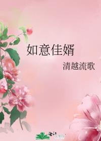 如意佳婿 小说