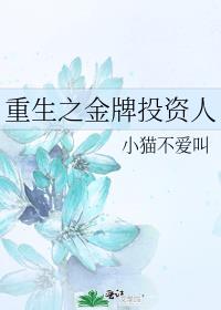 重生之金牌投资人 小猫不爱叫