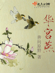 华宫燕电视剧