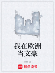 我在欧洲当文豪起点