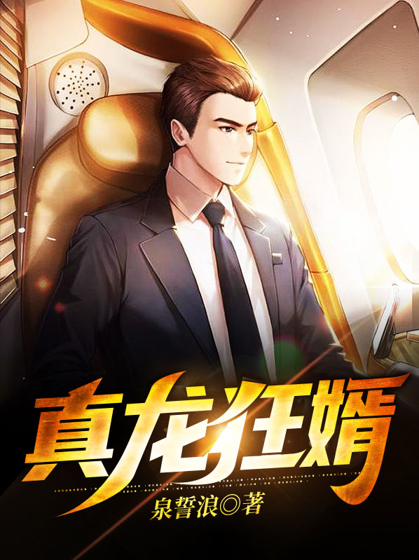 真龙狂婿叶玄