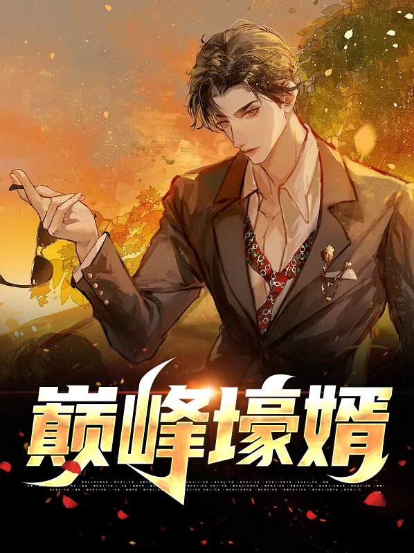 巅峰豪婿 小说
