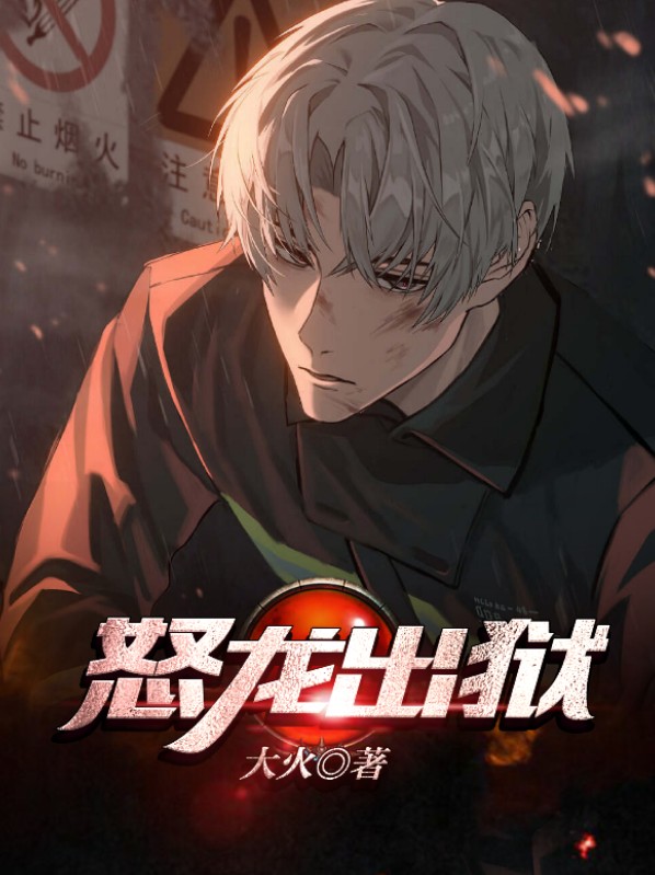 怒龙出狱 小说