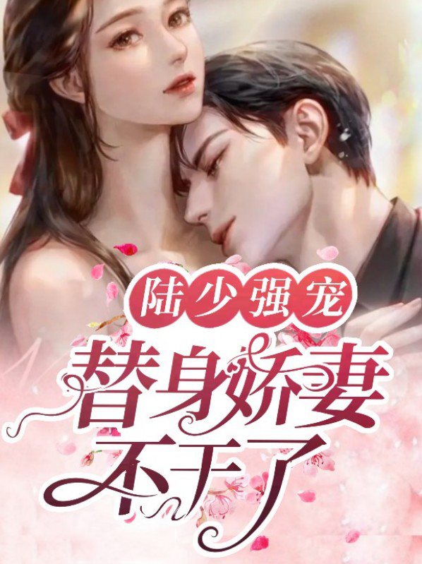 陆少的专宠替身