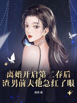 离婚开始的小说