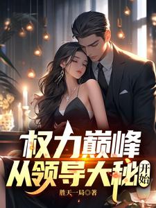 权力巅峰从领导大秘开始林毅小说