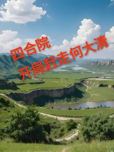 四合院傻柱电视剧
