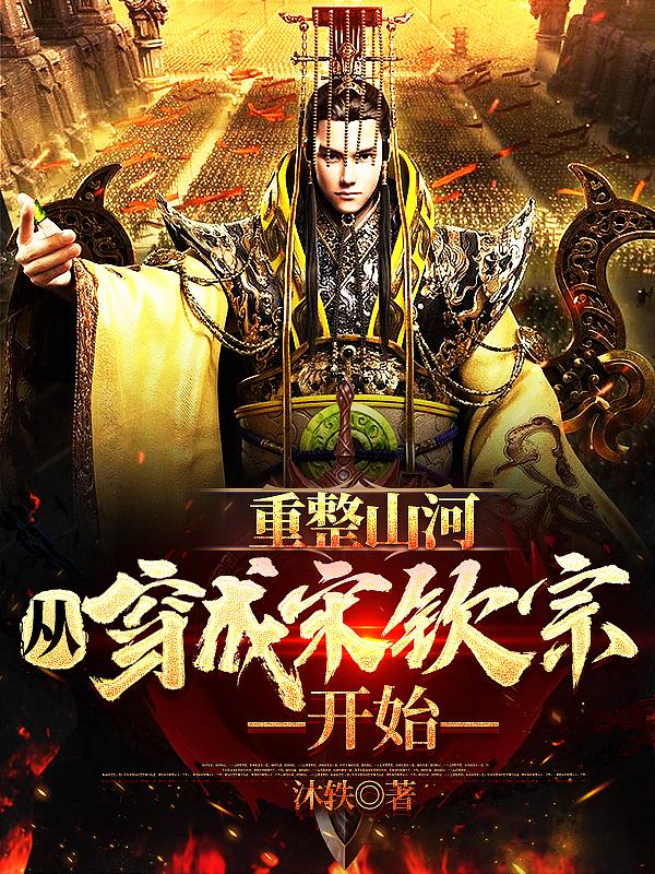 重整山河,从穿成宋钦宗开始 作者:沐轶