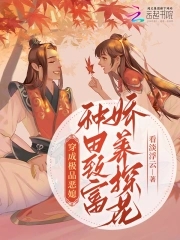 穿成极品妻